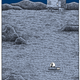 Image for article titled Robots make bad therapists in the deadpan Mooncop